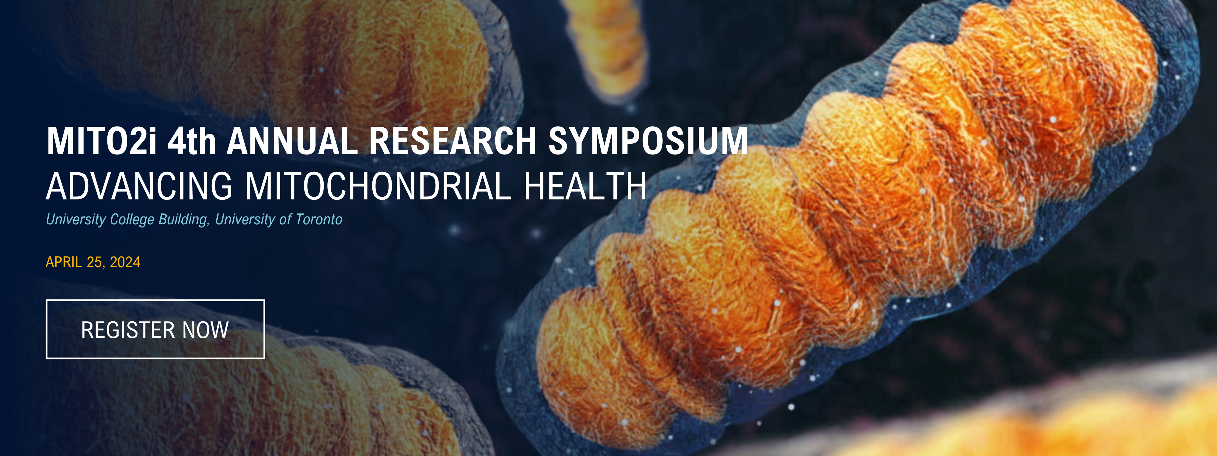 MITO2i's 4th Annual Research Symposium on Thursday April 25, 2024. Advancing Mitochondrial Health. At the University College Building at the University of Toronto on April 25. Register Now