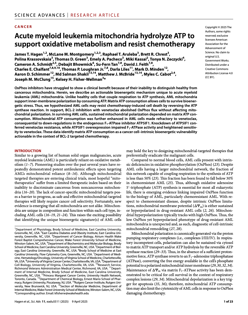 Screenshot 2026-02-10 at 3.38.42 PM