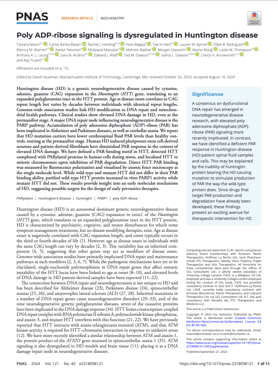 Screenshot 2026-02-10 at 3.41.45 PM