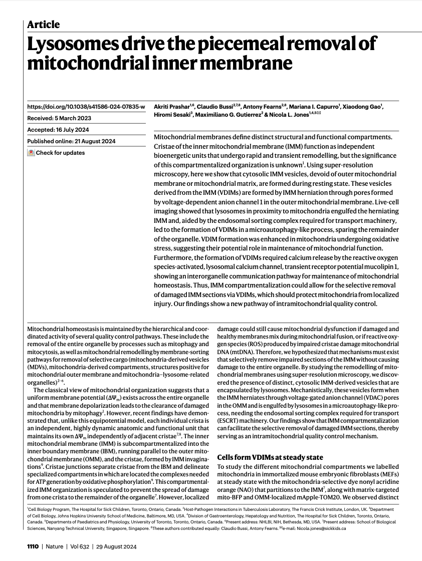 Screenshot 2026-02-10 at 3.46.40 PM