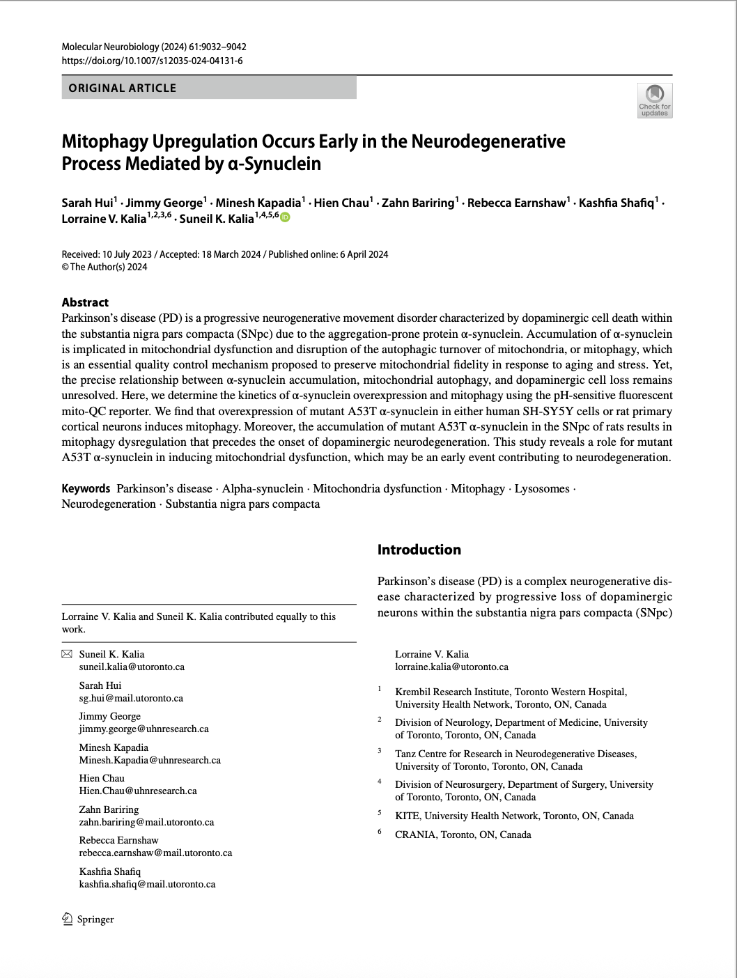 Screenshot 2026-02-17 at 11.00.47 AM